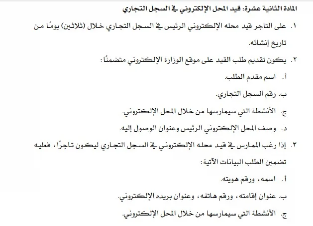 نظام التجارة الالكترونية: شرح أهم البنود والتفاصيل 2024 2 نظام التجارة الالكترونية