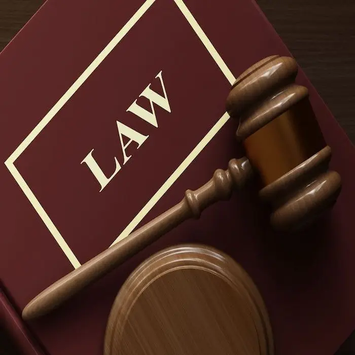 لجنة النظر في مخالفات نظام حماية حقوق المؤلف بالسعودية 1 لجنة النظر في مخالفات نظام حماية حقوق المؤلف